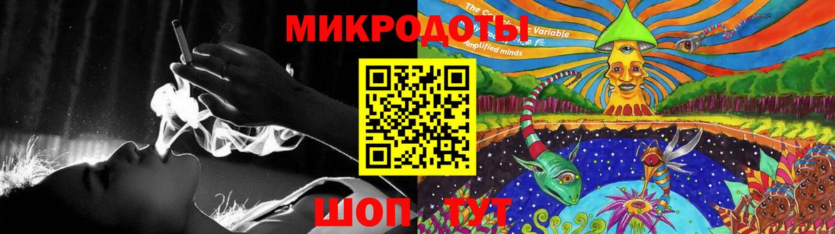 Галлюциногенные грибы Psilocybine cubensis Фрязино